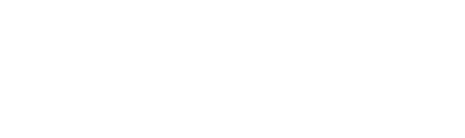 Total Cleaner
